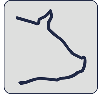 cerdos
