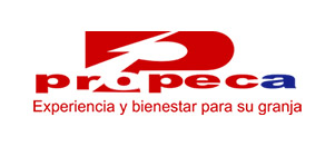 Propeca